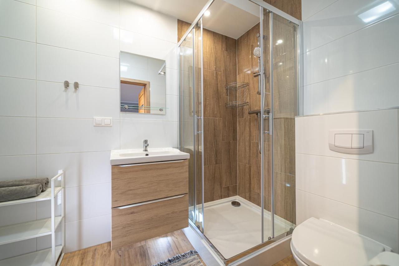 Apartament Rodzinny Plusplus Mountain Aparts Swieradow-Zdroj Exterior photo